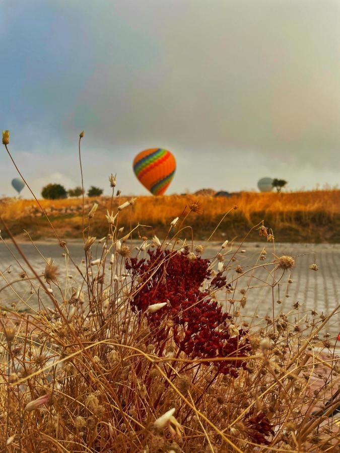 Soleado Cappadocia Hotel Ючхисар Екстериор снимка